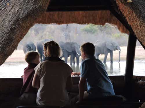 Ivory Lodge - Hwange